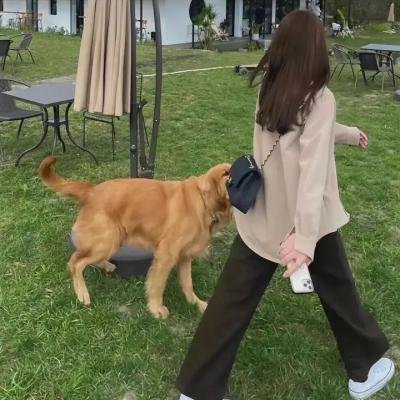 继承者风云